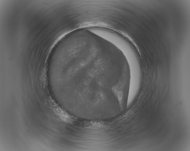 X0000080740975200701051140