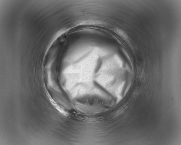 X0000080740976200701051140