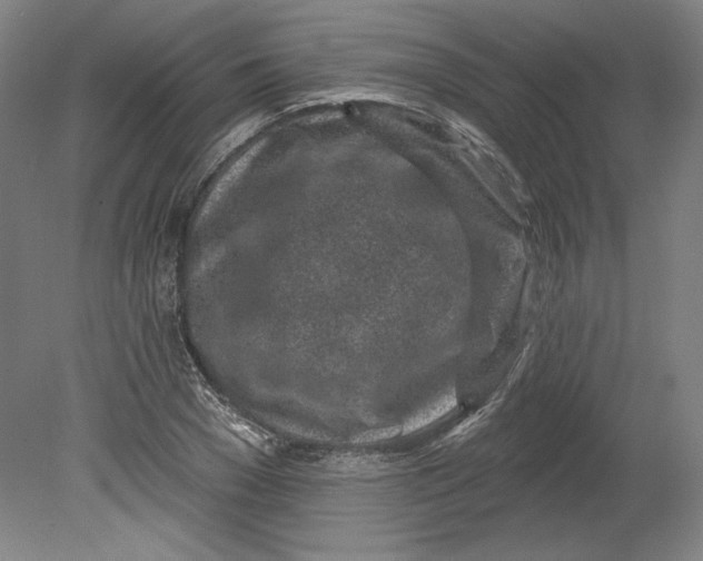 X0000080740977200701051140