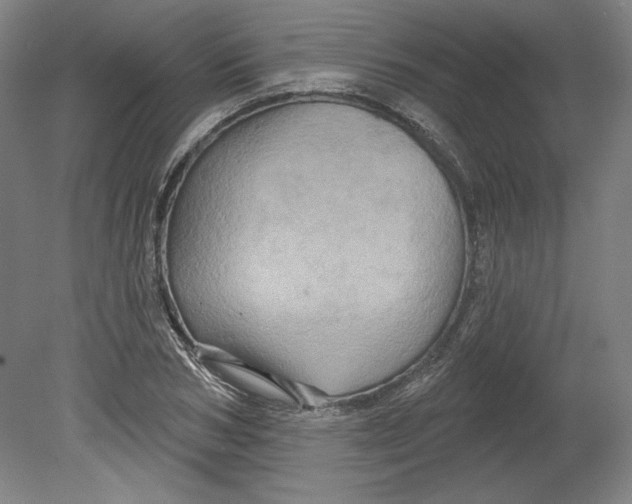 X0000080740978200701051140