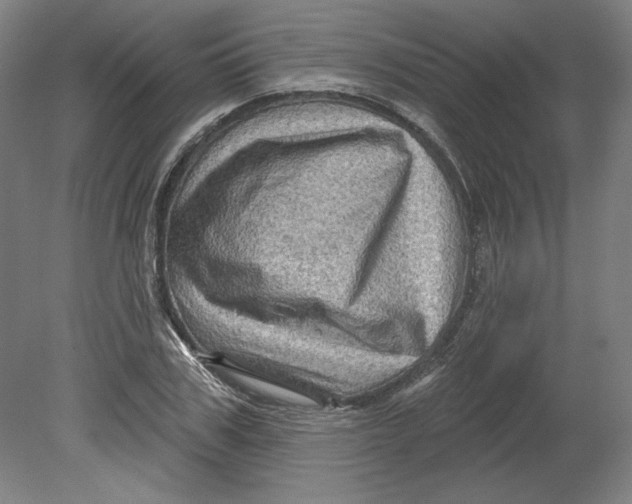 X0000080740979200701051140