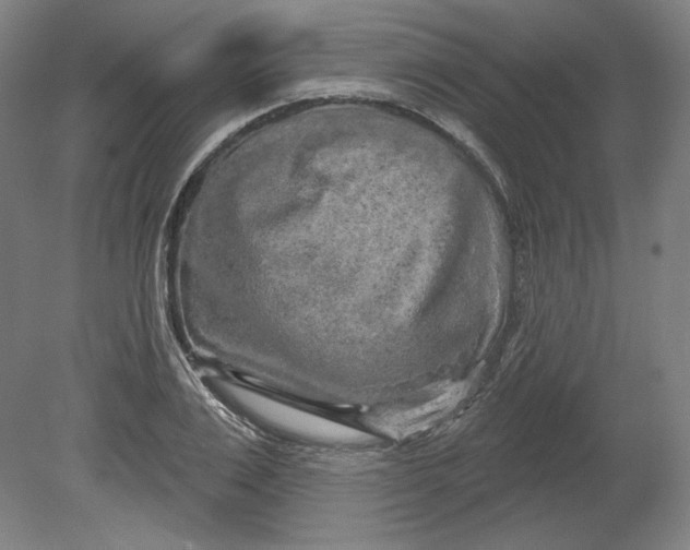 X0000080740983200701051140