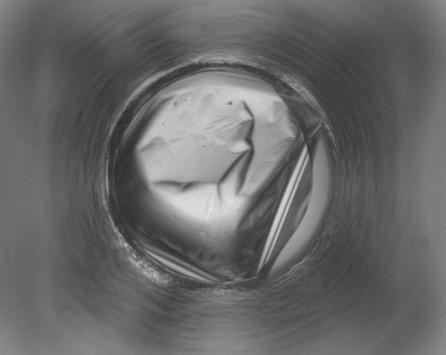 X0000080740984200701051140