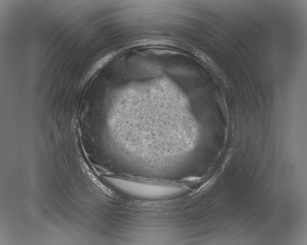 X0000080740985200701051140