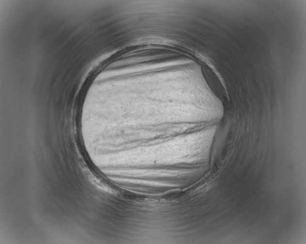 X0000080740987200701051140