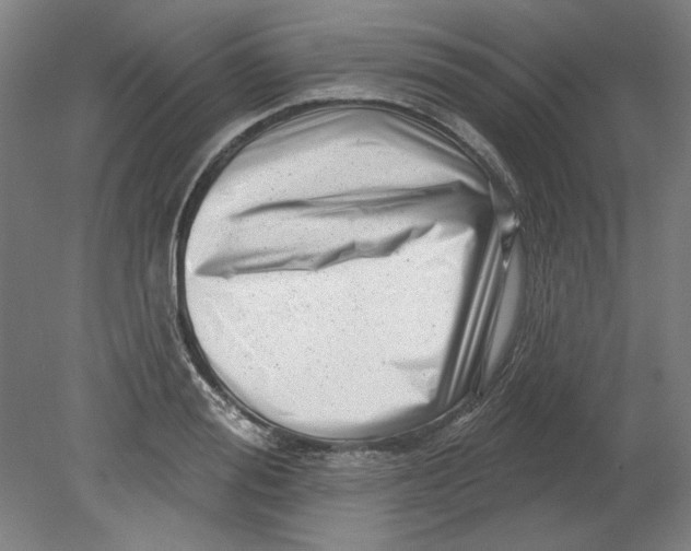 X0000080740988200701051140