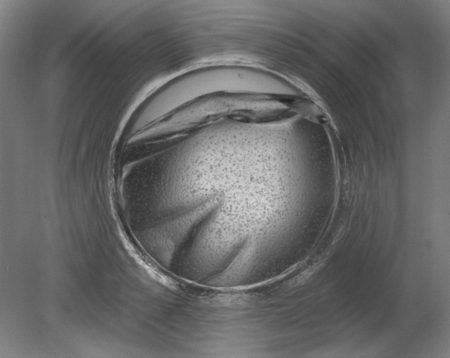 X0000080740989200701051140