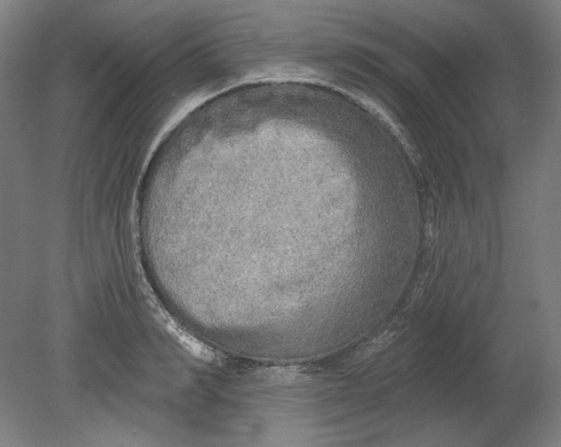 X0000080740990200701051140