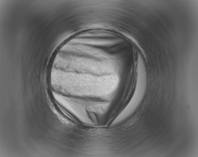 X0000080740991200701051140