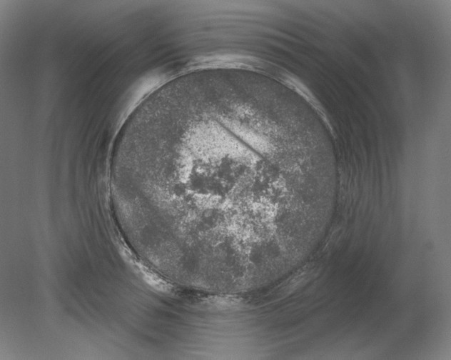 X0000080740994200701051140