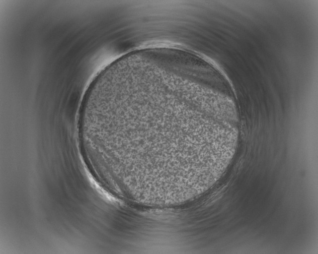 X0000080740995200701051140