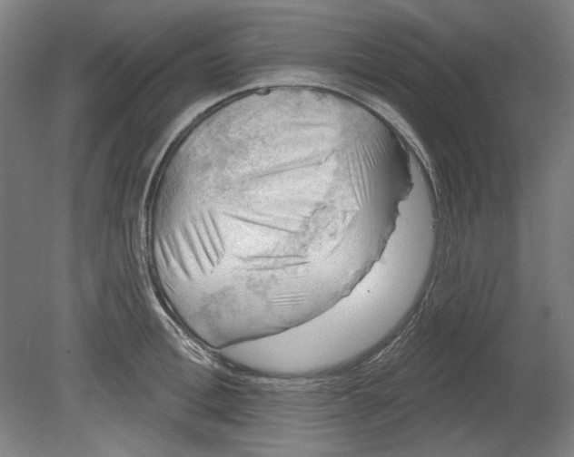 X0000080740996200701051140