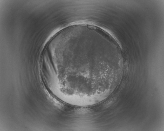 X0000080740998200701051140