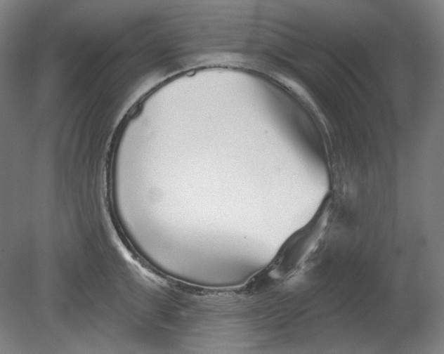 X0000080740999200701051140