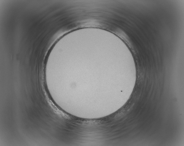 X0000080741000200701051140