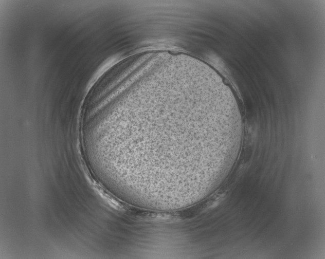 X0000080741002200701051140