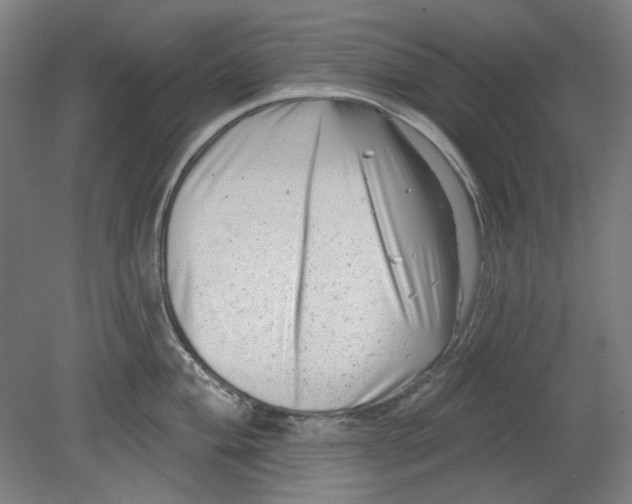 X0000080741004200701051140