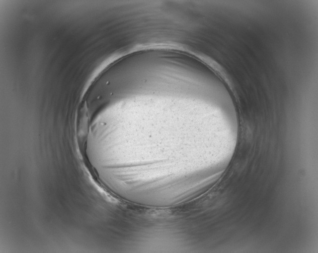 X0000080741006200701051139