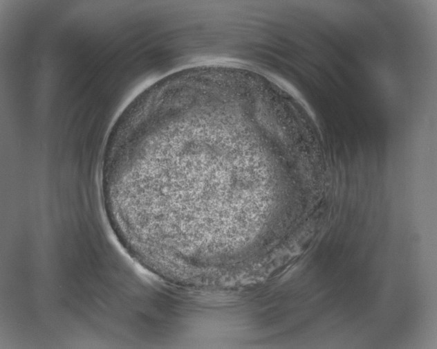 X0000080741007200701051139