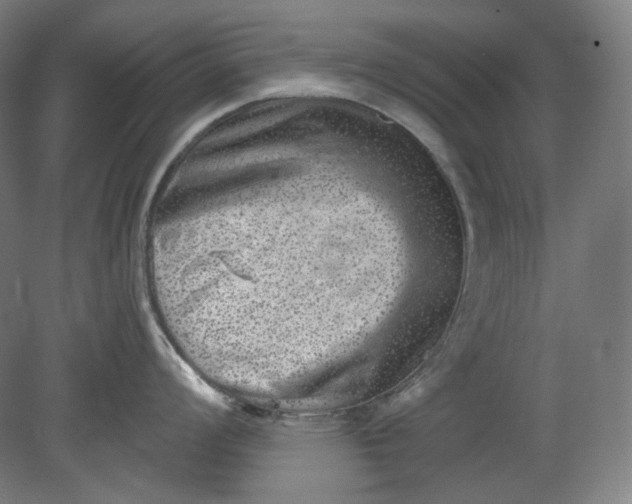 X0000080741008200701051139