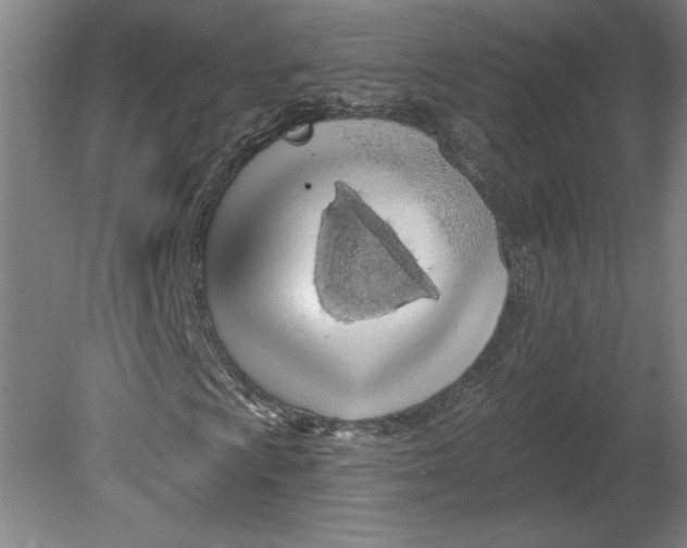 X0000080741009200701051139