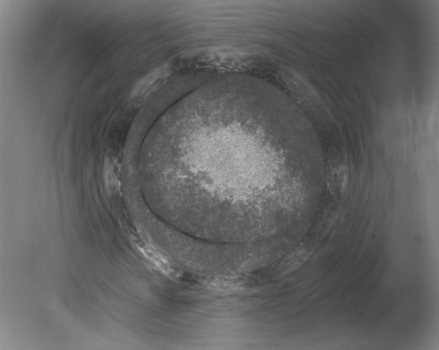 X0000080741010200701051139