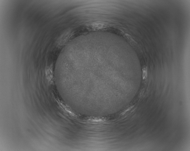 X0000080741011200701051139