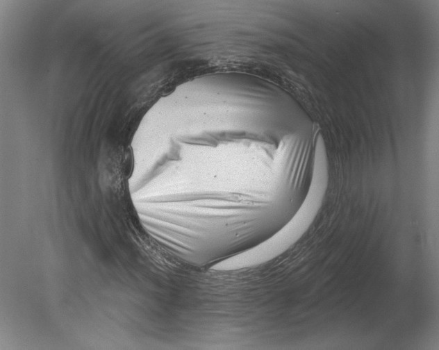 X0000080741012200701051139