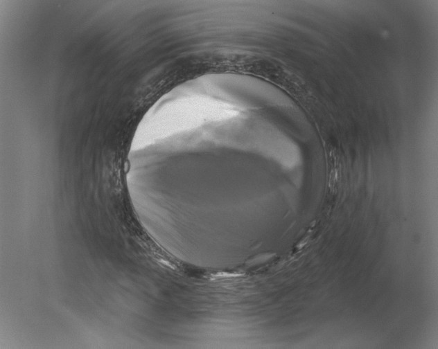 X0000080741013200701051139