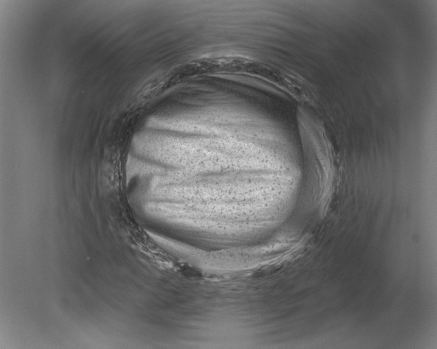 X0000080741014200701051139