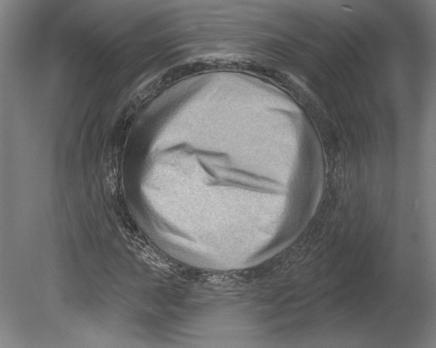 X0000080741015200701051139