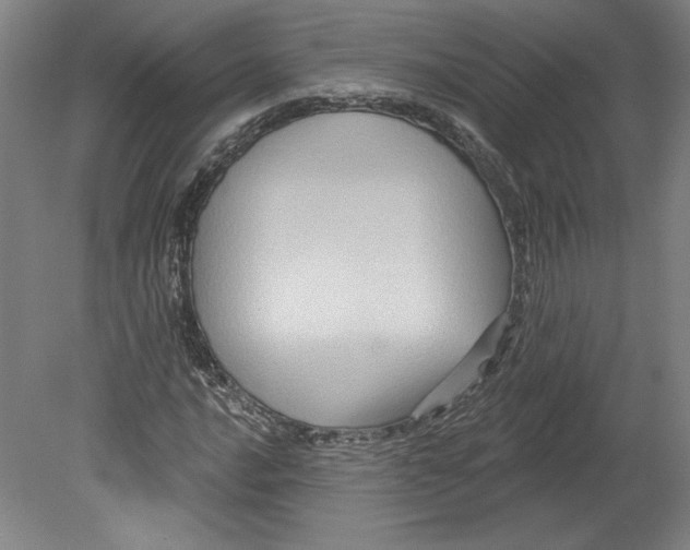 X0000080741016200701051139