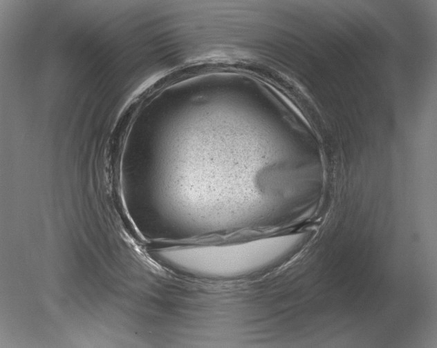 X0000080741018200701051139