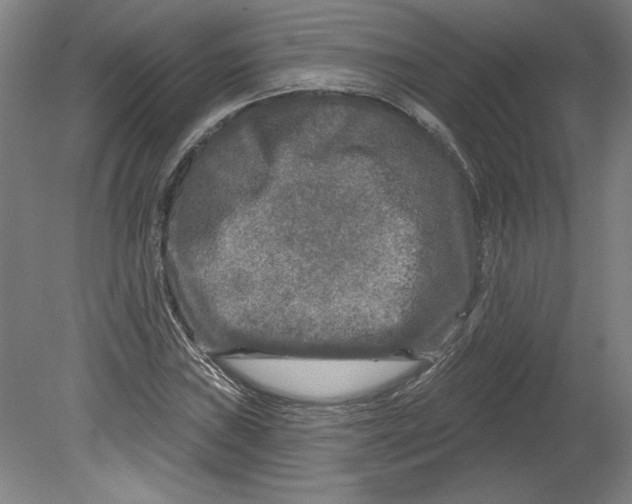 X0000080741019200701051139