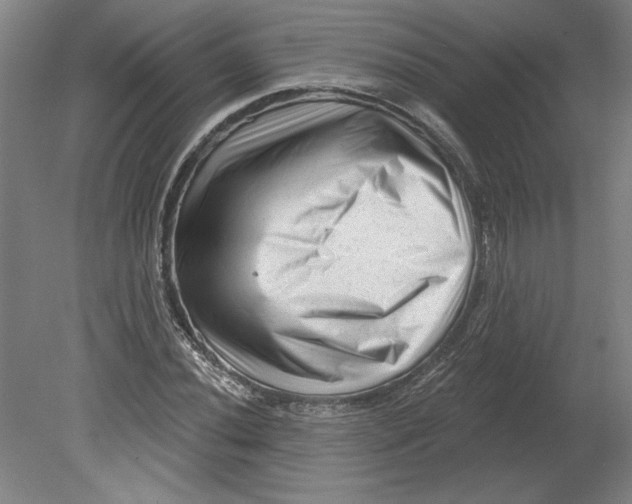 X0000080741020200701051139