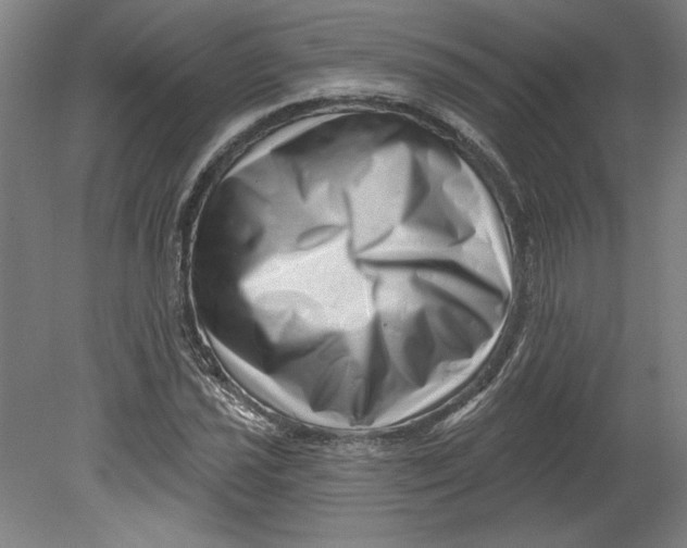 X0000080741021200701051139