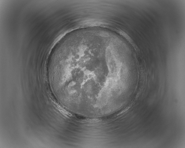 X0000080741023200701051139