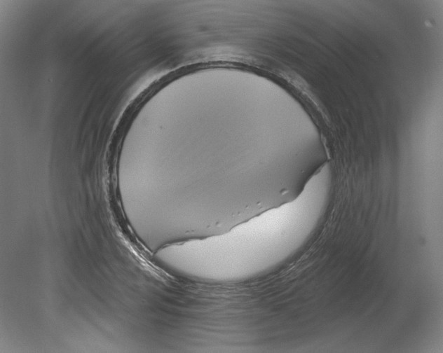 X0000080741024200701051139