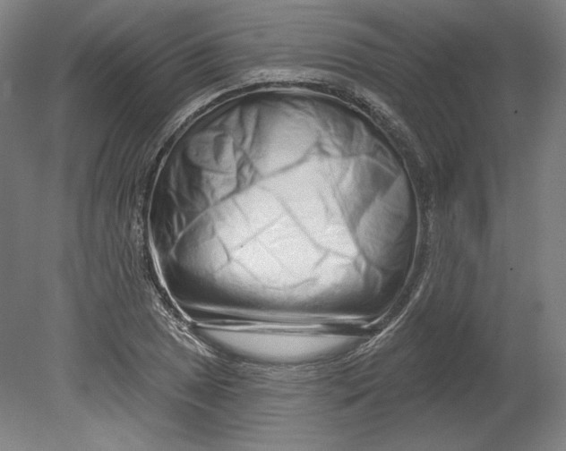 X0000080741025200701051139