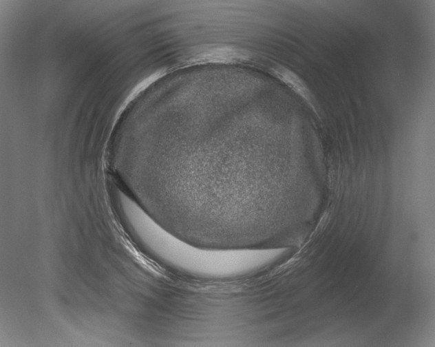 X0000080741026200701051139