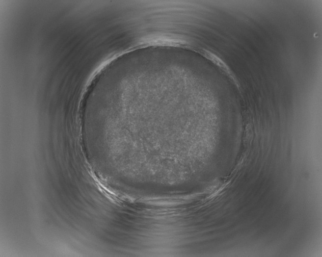 X0000080741027200701051139