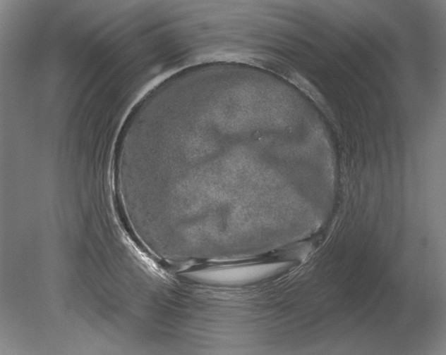 X0000080741028200701051139