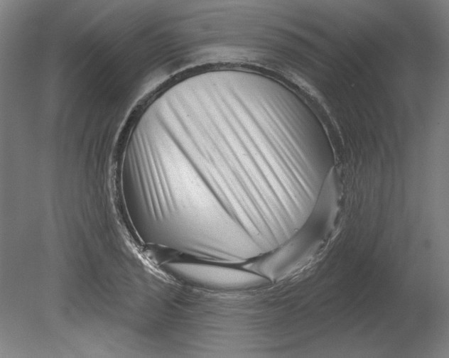 X0000080741029200701051139