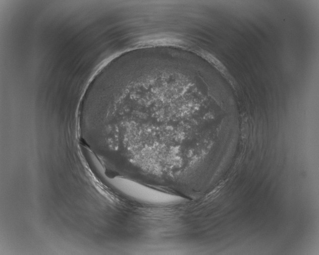 X0000080741031200701051139