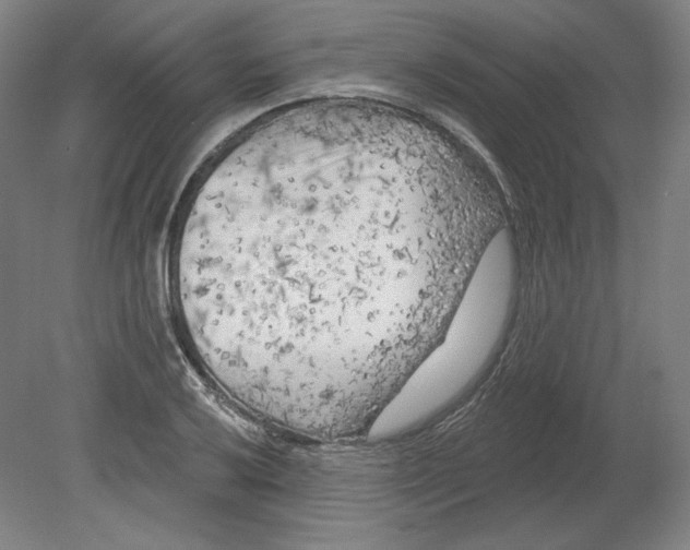 X0000080741032200701051139