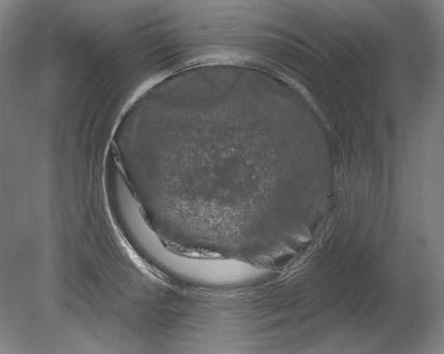 X0000080741034200701051139