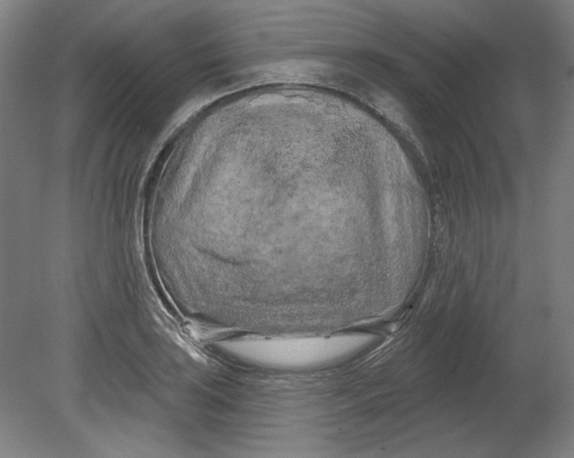 X0000080741035200701051139