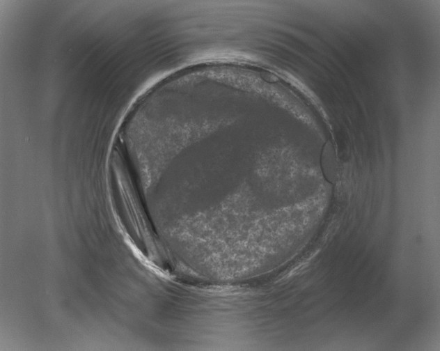 X0000080741037200701051139