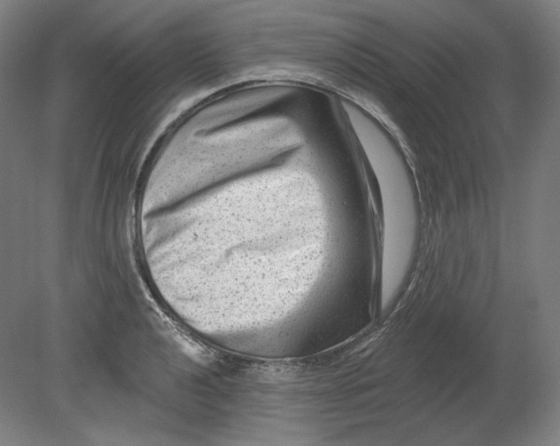 X0000080741040200701051139