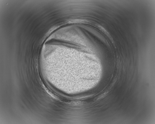 X0000080741041200701051139